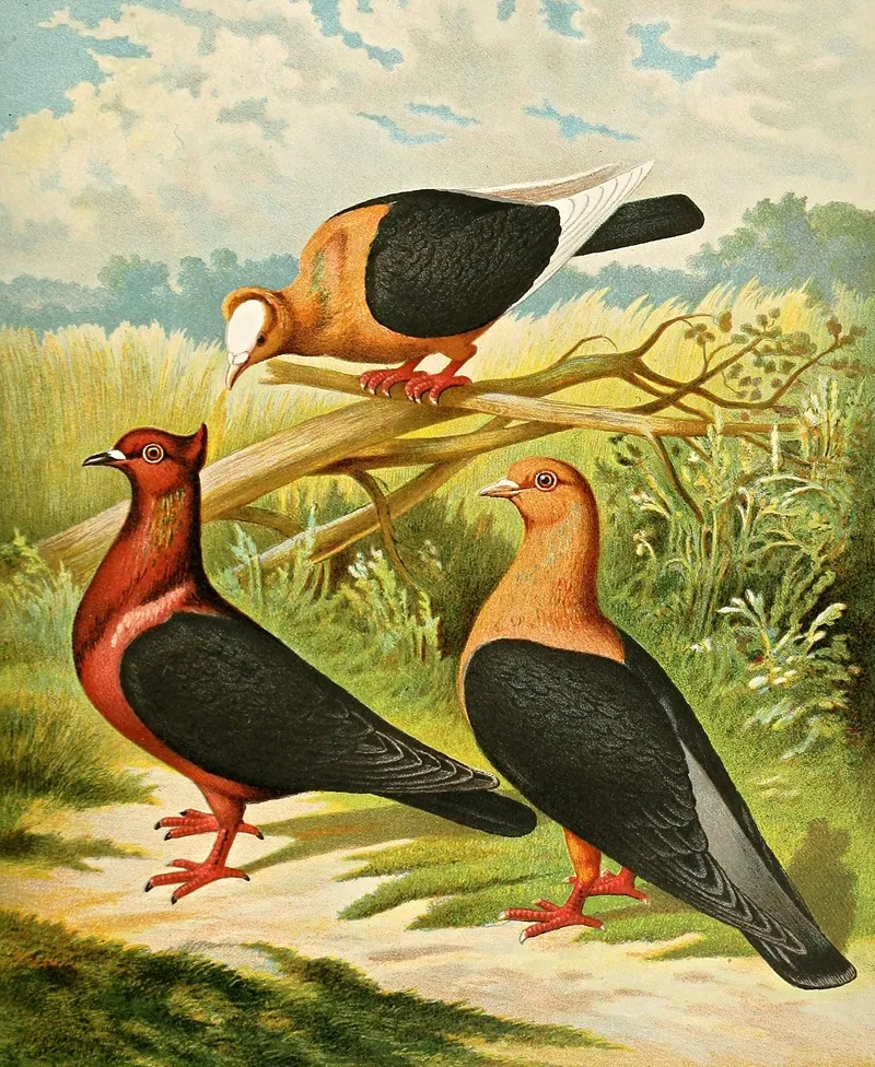 C Illyrica Wall Art by Gustav Prütz - High-Resolution Digital Print