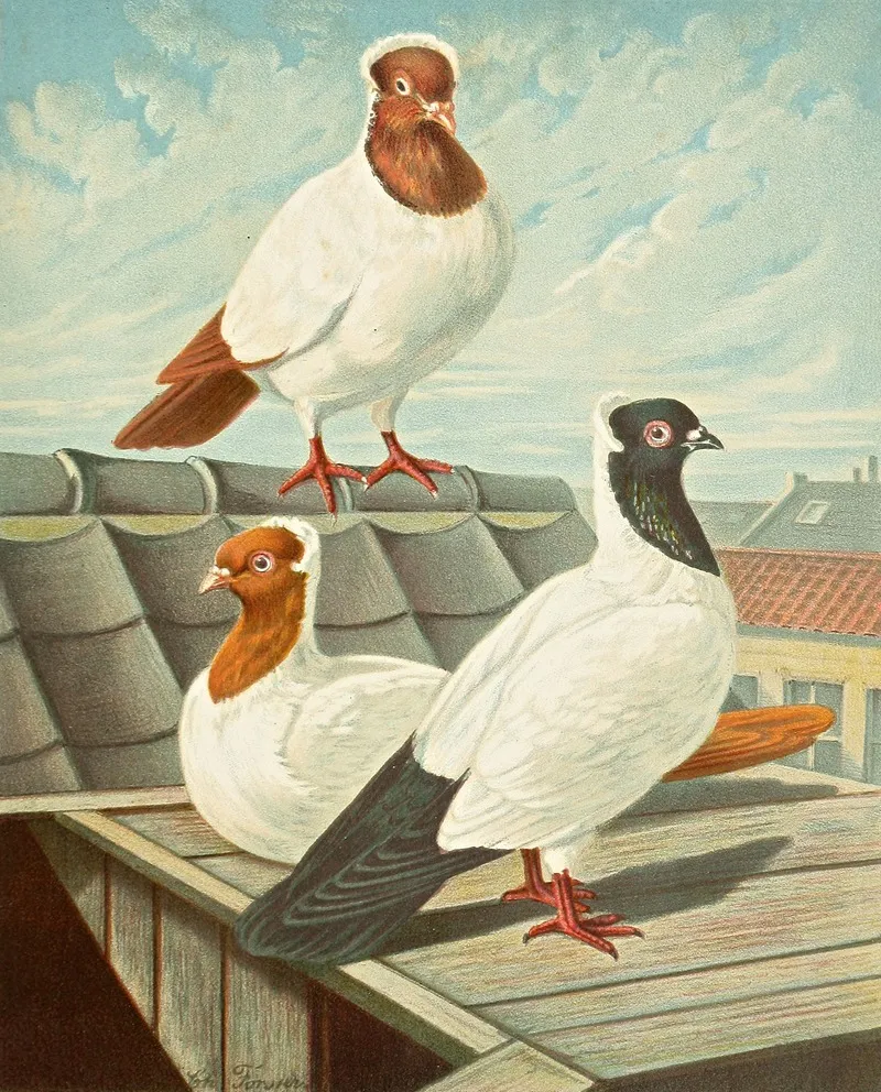 C Vestalis Wall Art by Gustav Prütz - High-Resolution Digital Print