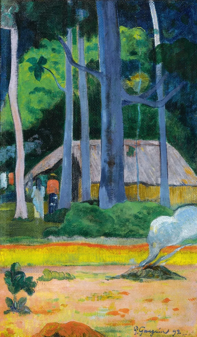 Cabane Sous Les Arbres