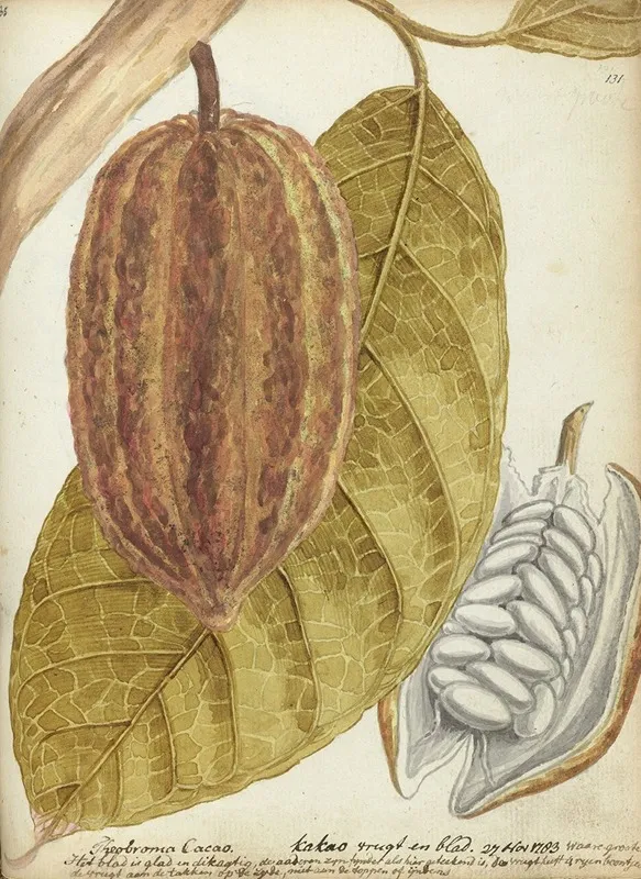 Cacao 3 Wall Art by Jan Brandes - High-Resolution Digital Print