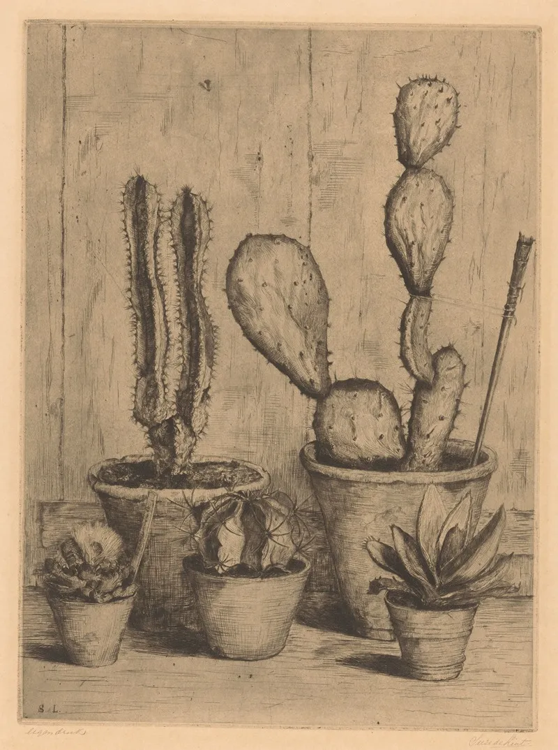 Cacti Wall Art by Suze de Lint - High-Resolution Digital Print