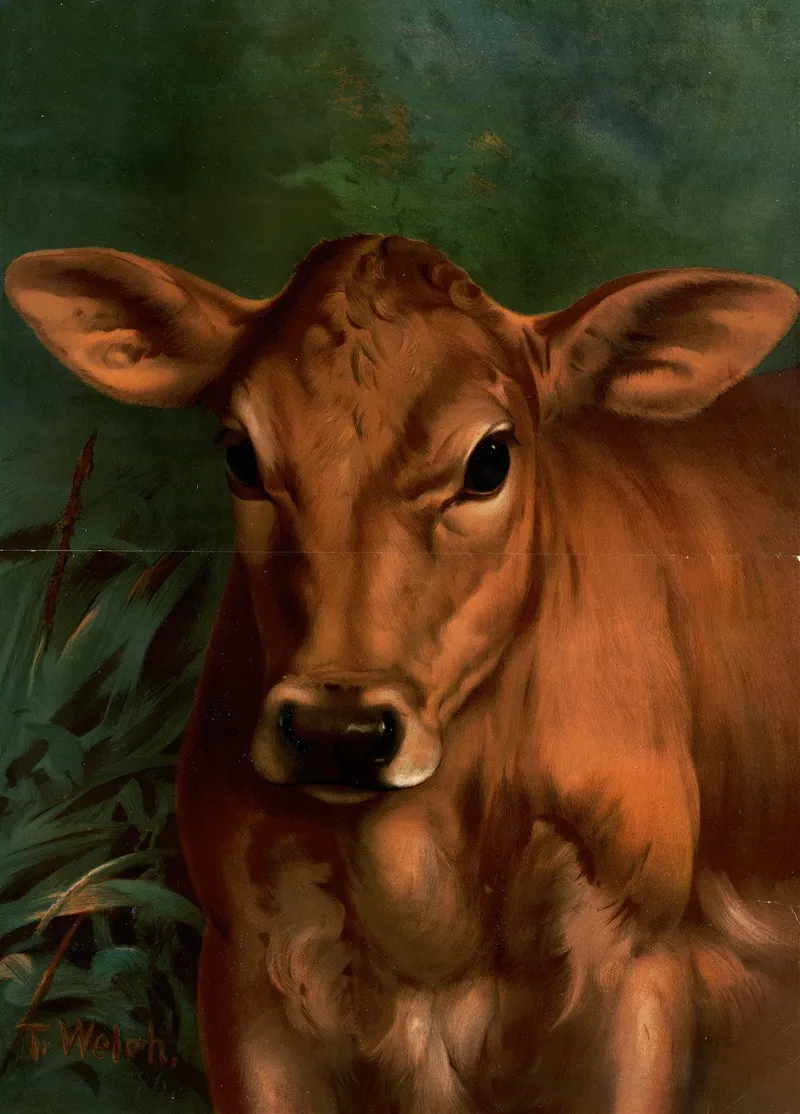 Calfs Head Wall Art by Thaddeus Welch - High-Resolution Digital Print