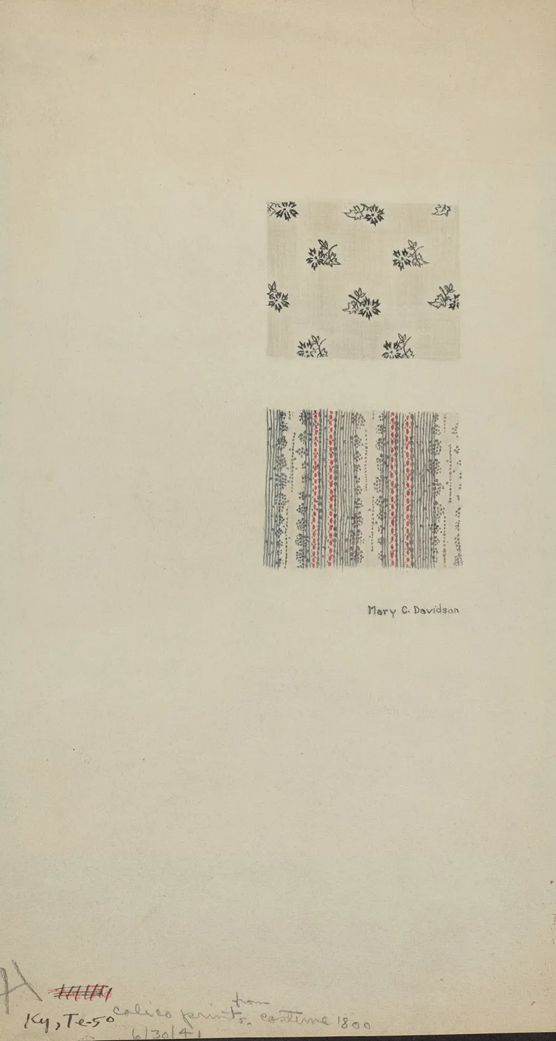 Calico Prints From Costume