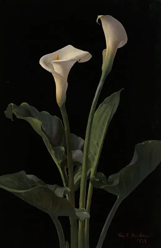 Calla Lilies Wall Art by George Cochran Lambdin - High-Resolution Digital Print