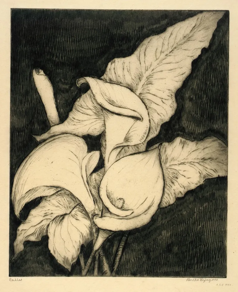 Callas