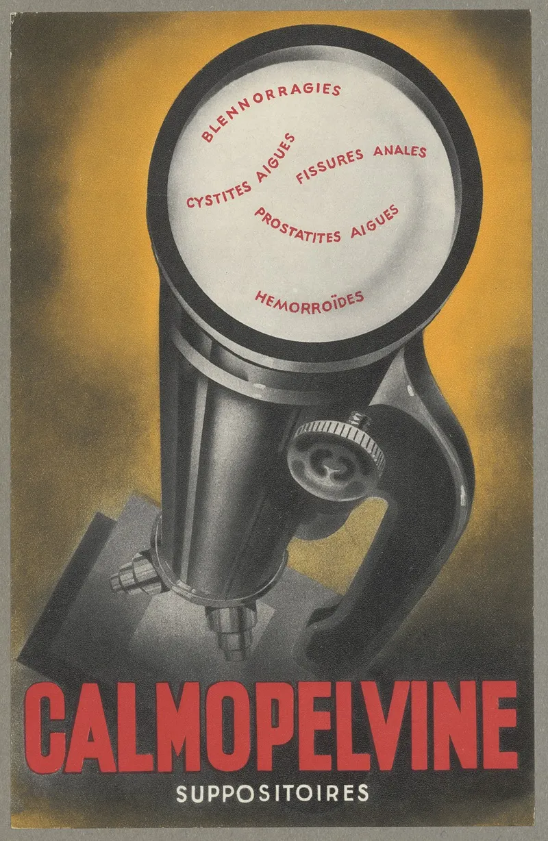 Calmopelvine 2 Wall Art by Anonymous - High-Resolution Digital Print