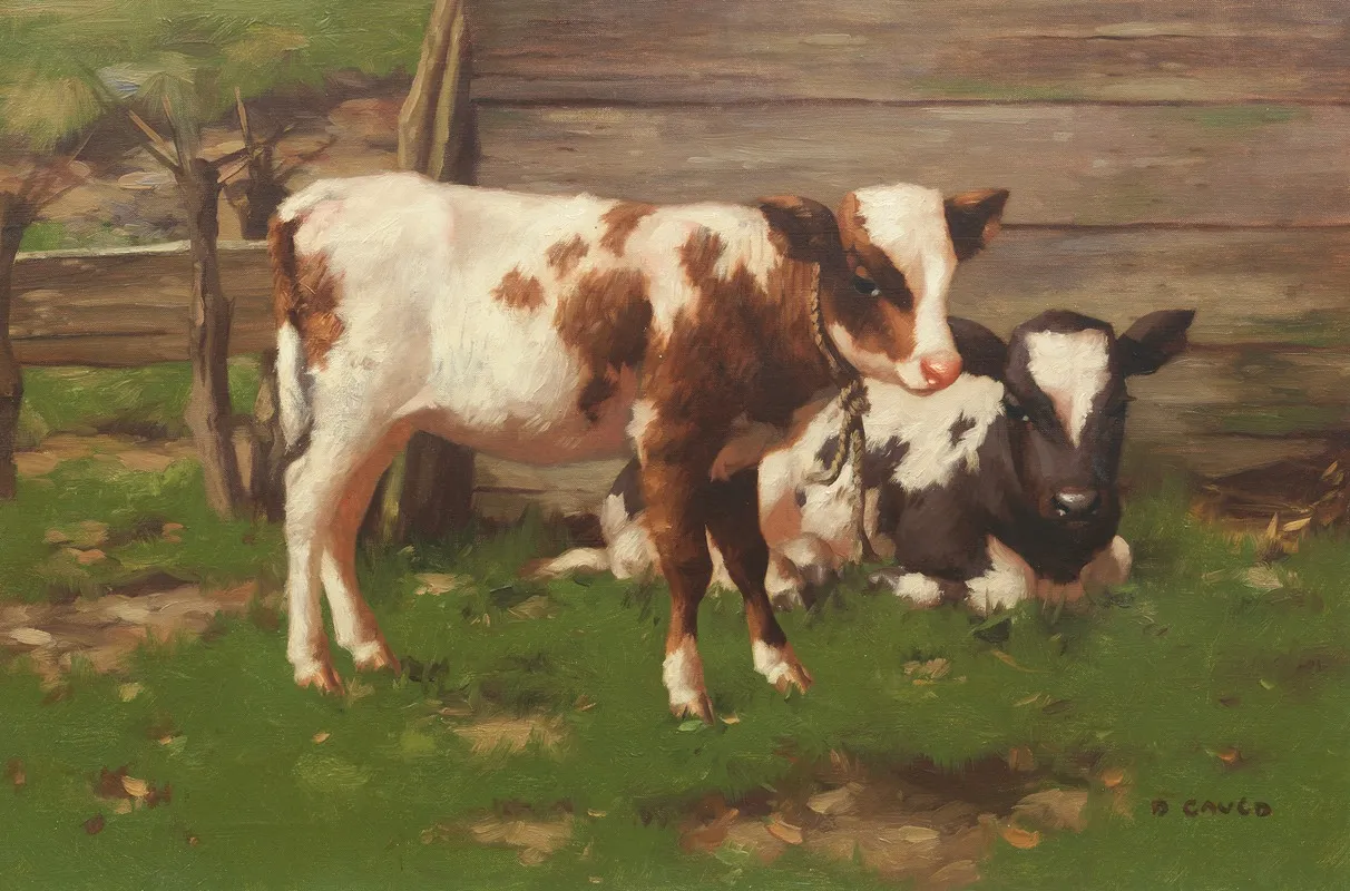 Calves Outside A Barn Wall Art by David Gauld - High-Resolution Digital Print