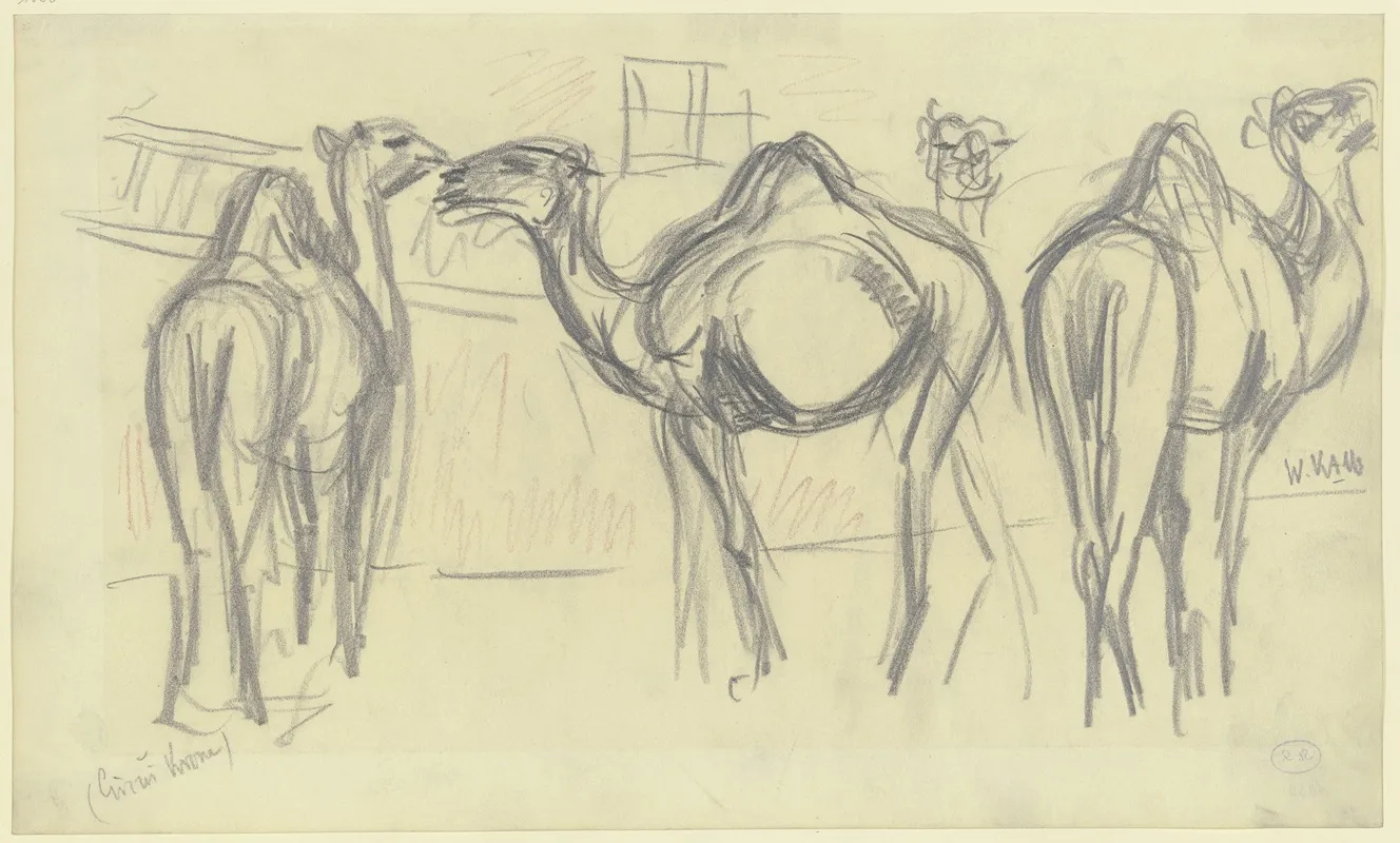 Camels Circus Krone Wall Art by Wilhelm Kalb - High-Resolution Digital Print