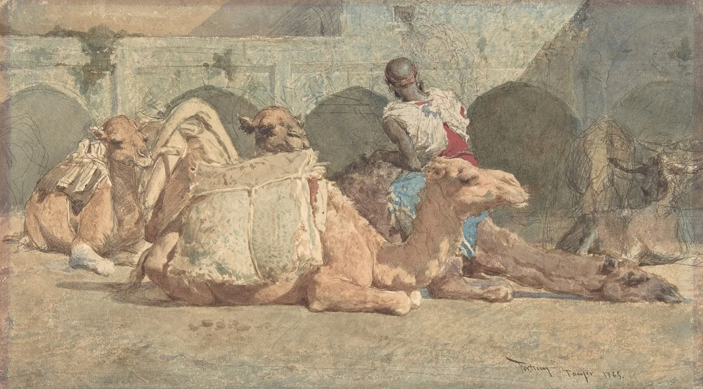 Camels Reposing Tangiers