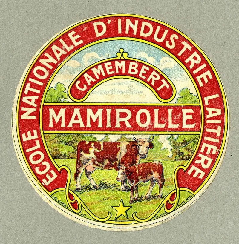 Camembert Mamirolle Wall Art by Ecole nationale d'industrie laitière - High-Resolution Digital Print