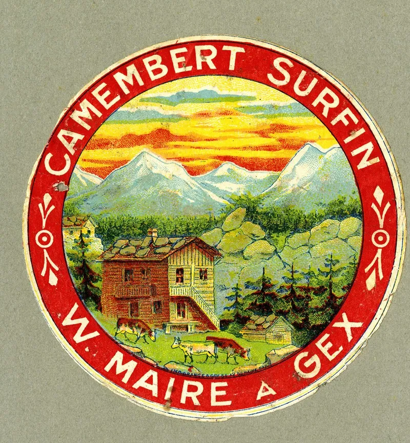 Camembert Surfin Wall Art by W. Maire - High-Resolution Digital Print