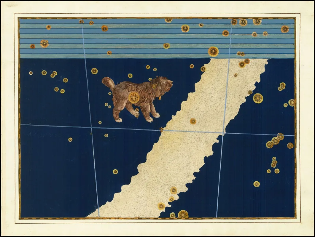 Canis Minor Wall Art by Johann Bayer - High-Resolution Digital Print