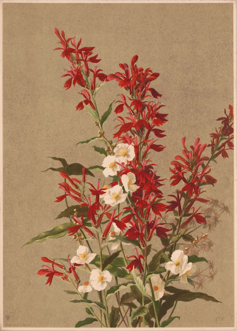 Cardinal Flower Wall Art by Ellen Fisher - High-Resolution Digital Print