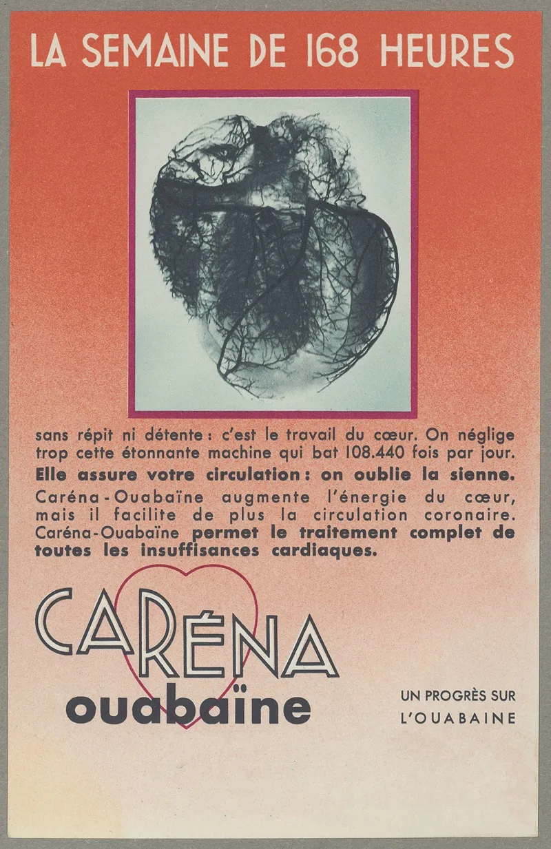 Carena Ouabaine Wall Art by Anonymous - High-Resolution Digital Print