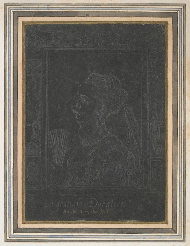 Caricature Of A Noble Woman