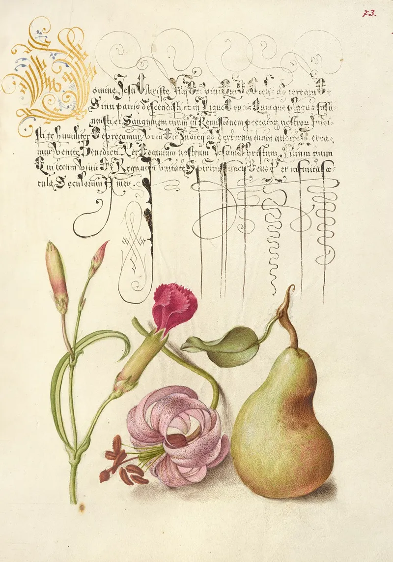 Carnation Martagon Lily And Pear