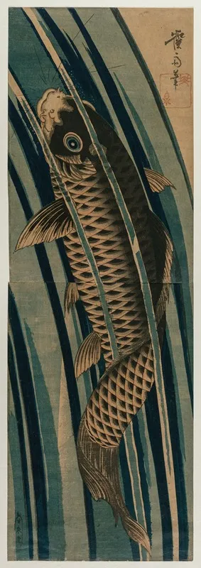 Carp Ascending A Waterfall