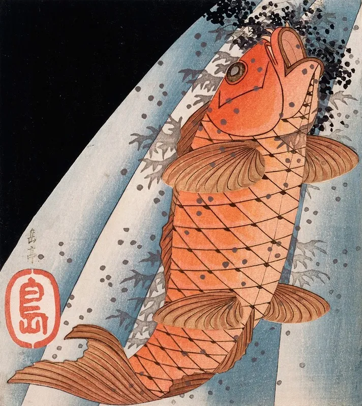 Carp Swimming Up A Waterfall