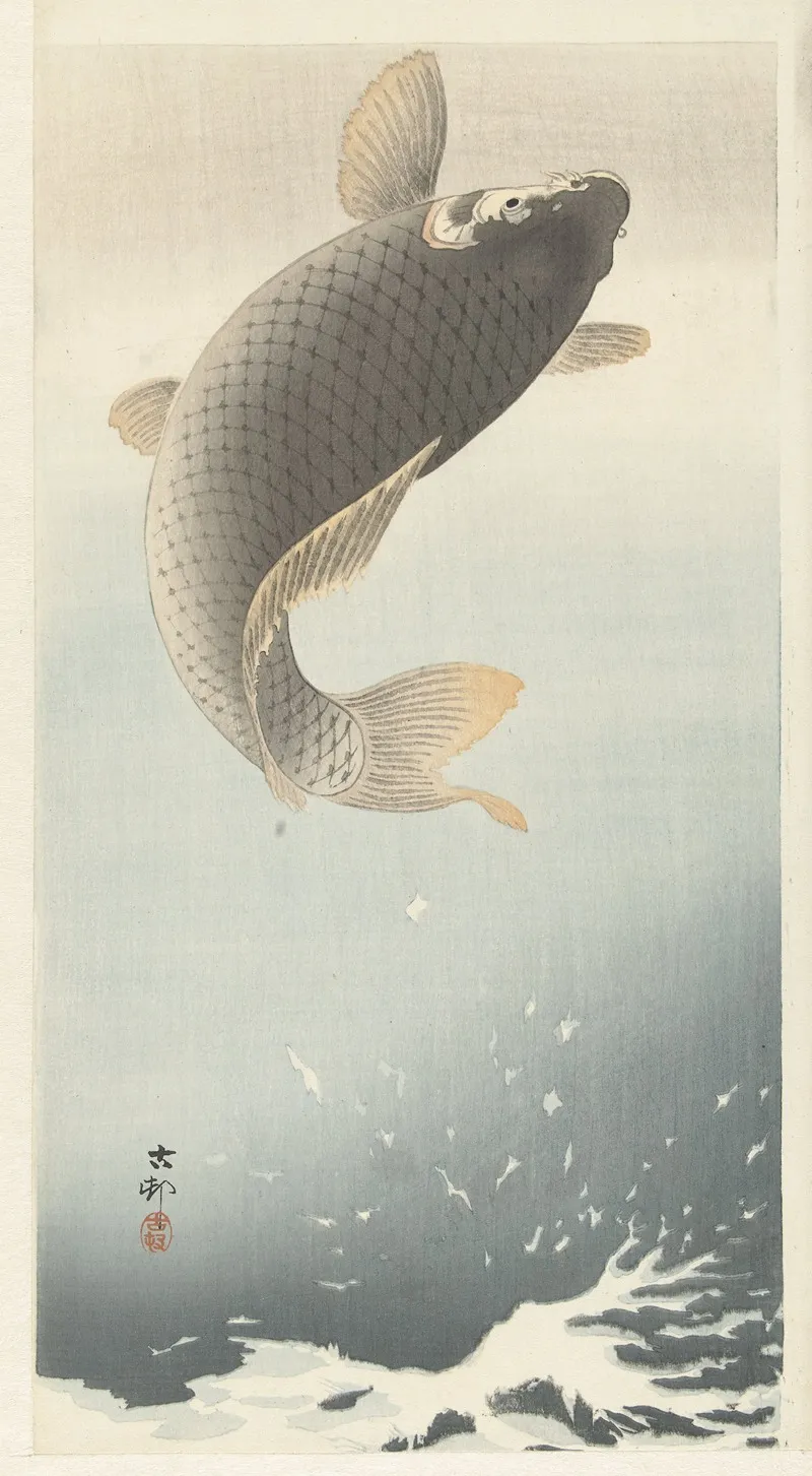 Carp
