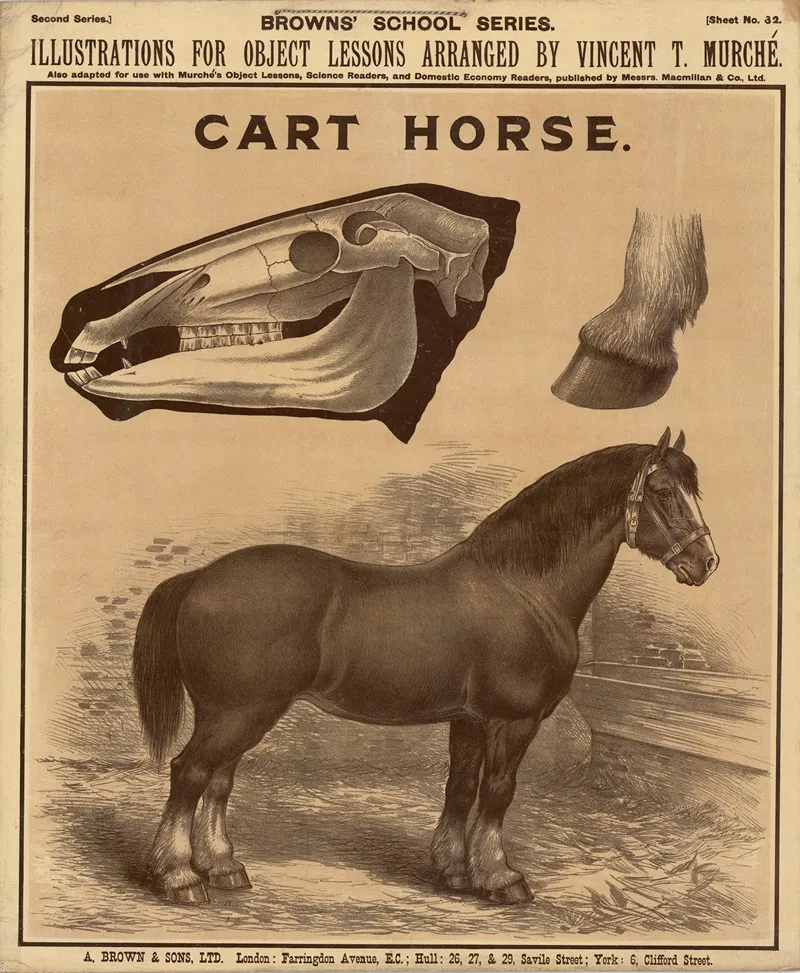 Cart Horse Wall Art by Vincent T. Murché - High-Resolution Digital Print