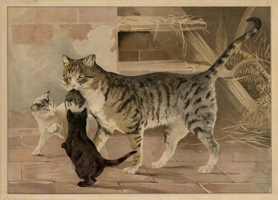 Cat 5