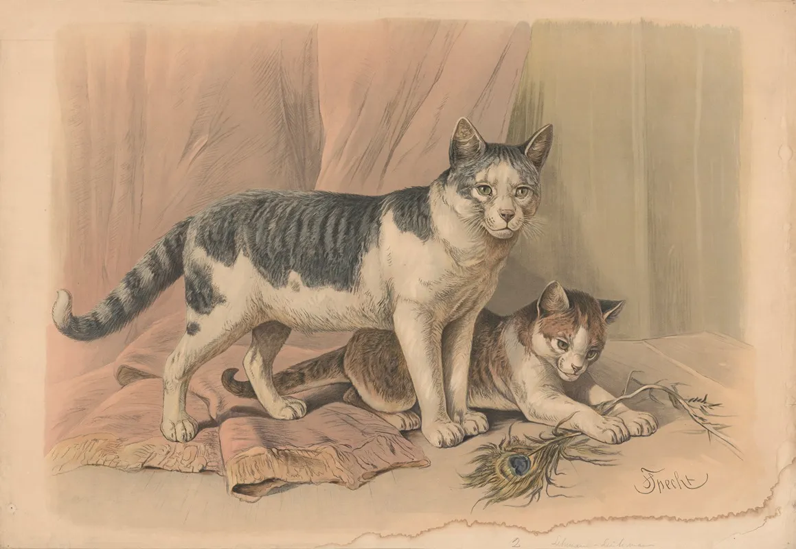 Cat 8 Wall Art by Friedrich Specht - High-Resolution Digital Print
