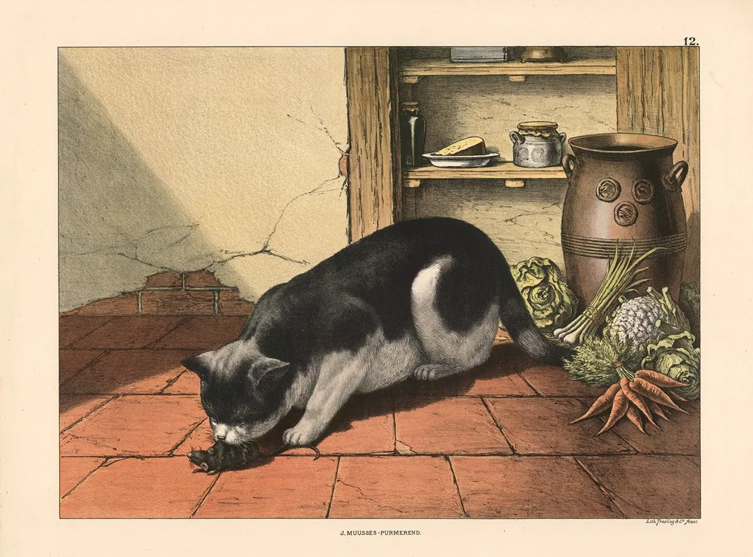 Cat And Mouse