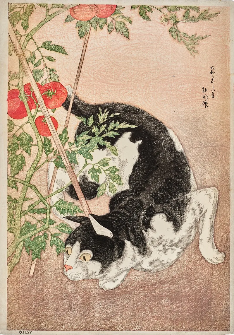 Cat And Tomato Plant