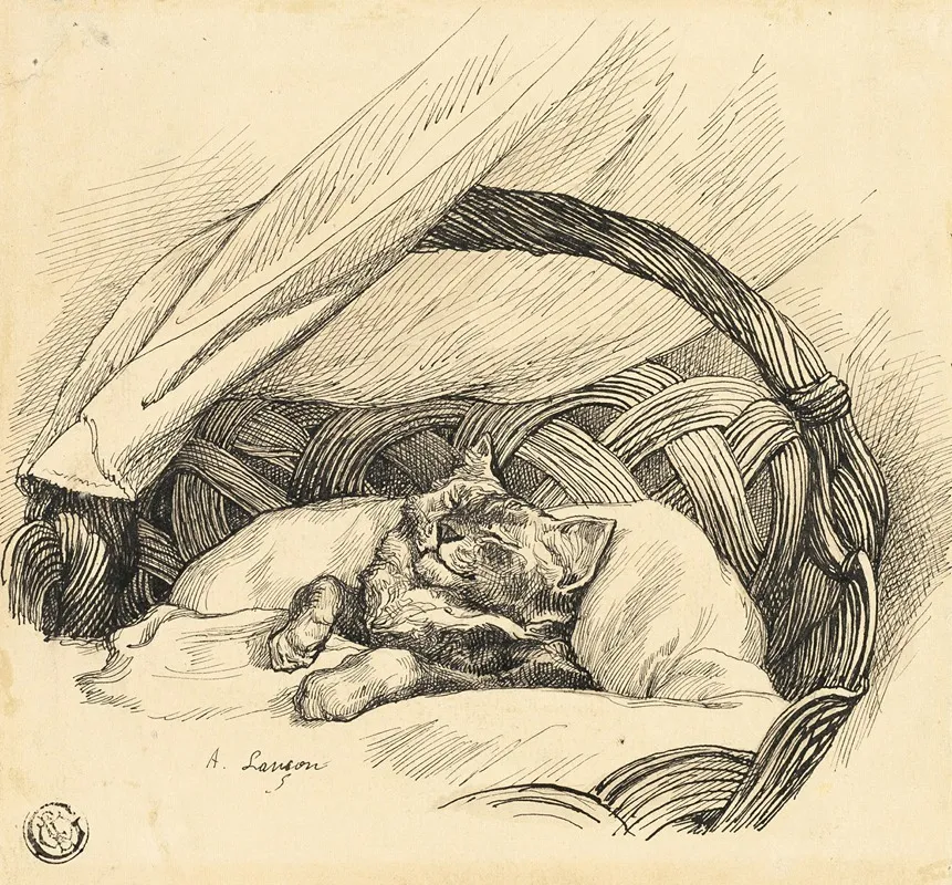 Cat Asleep In Basket