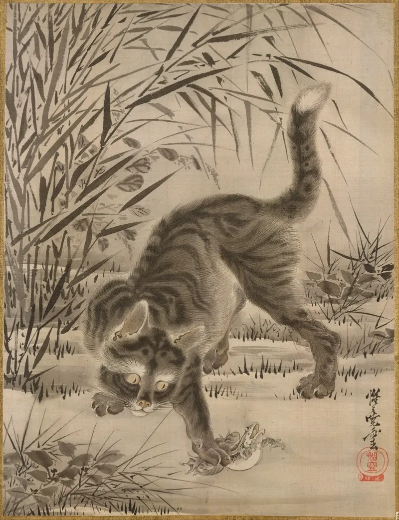 Cat Catching A Frog