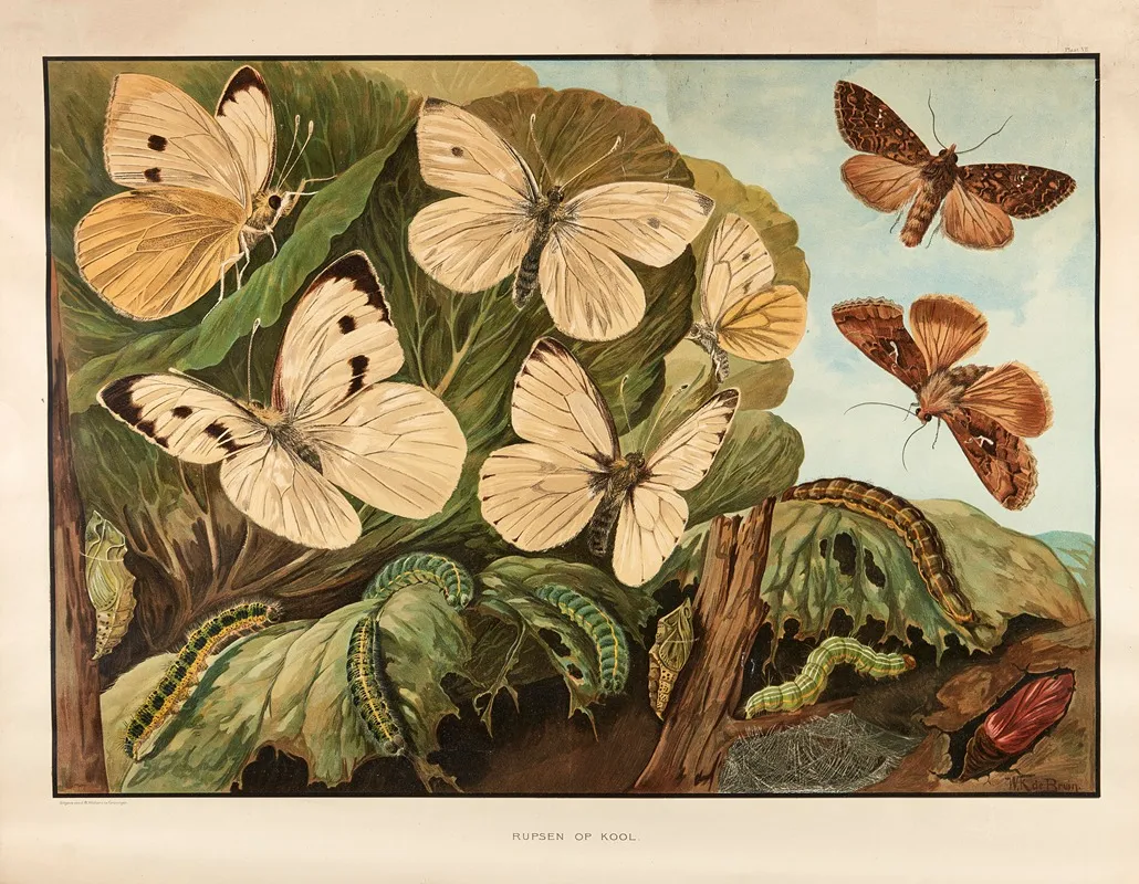 Caterpillars On Cabbage Wall Art by Wilhelmus Karel de Bruin - High-Resolution Digital Print