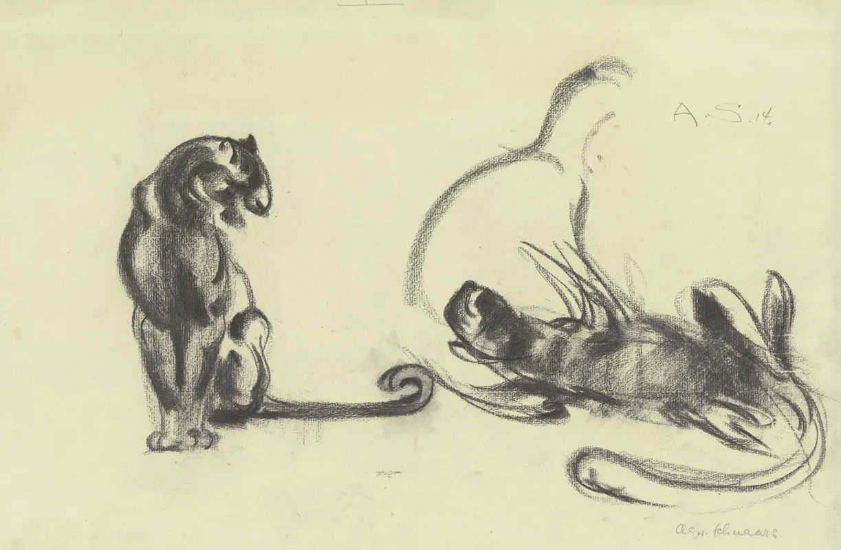 Cats 18