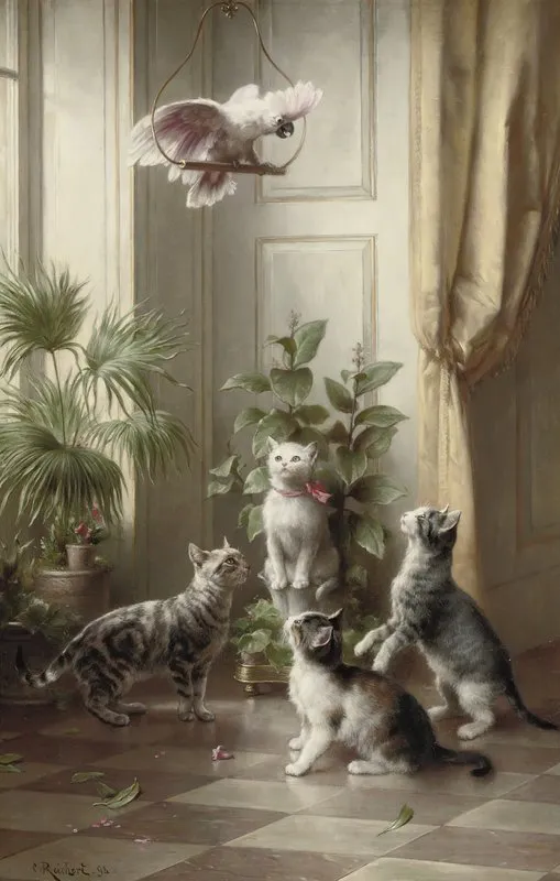 Cats And The Cockatoo