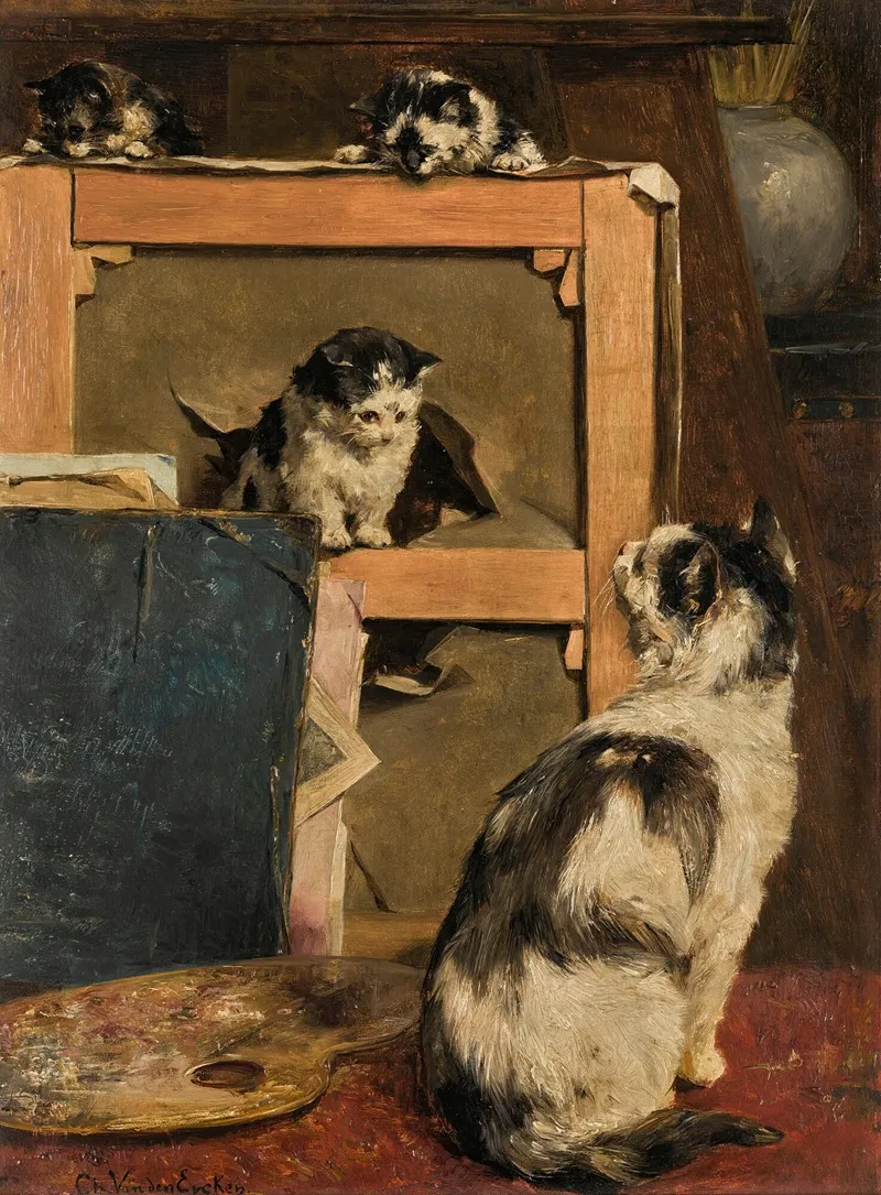 Cats At Play