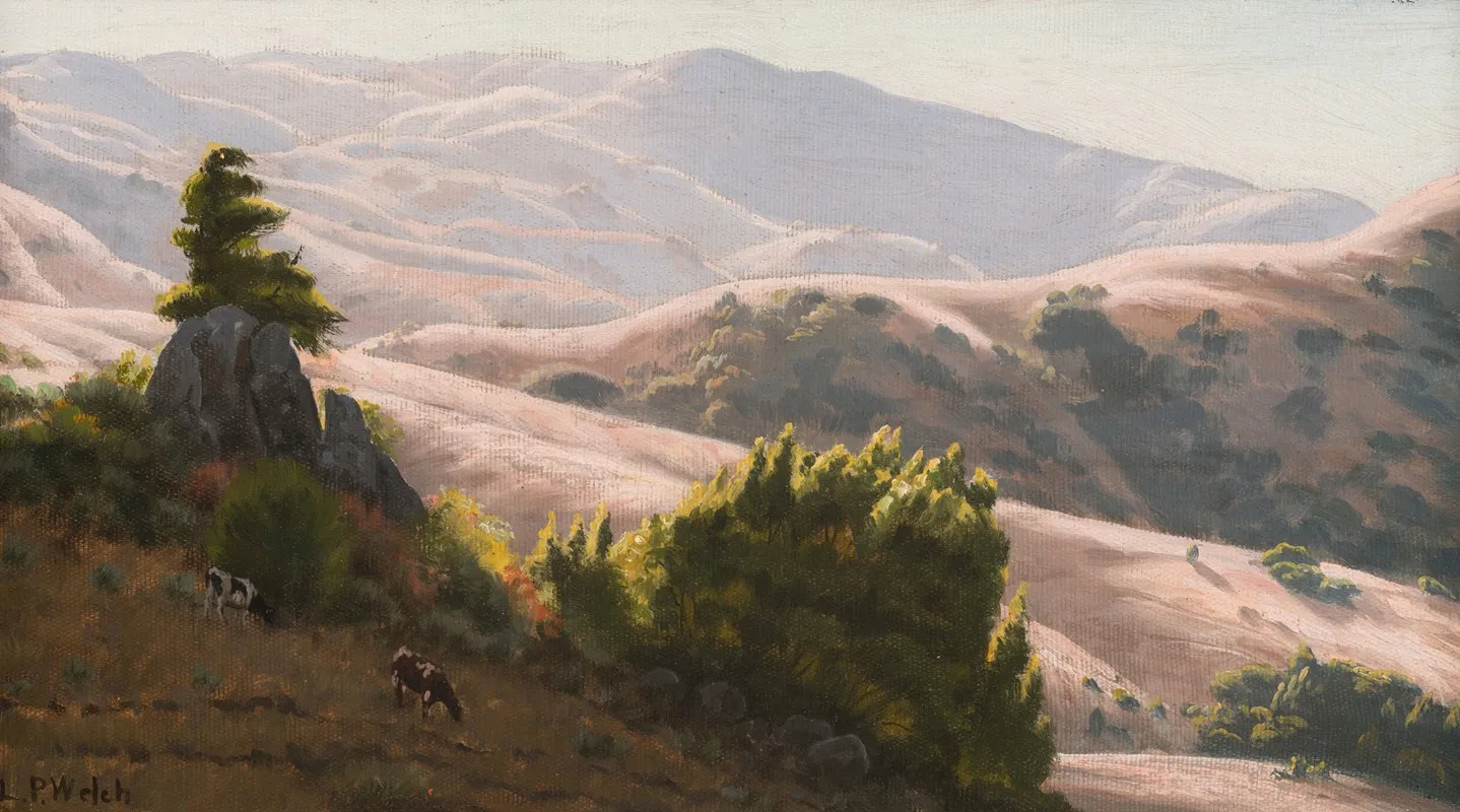 Cattle Grazing In Sunlit Hills