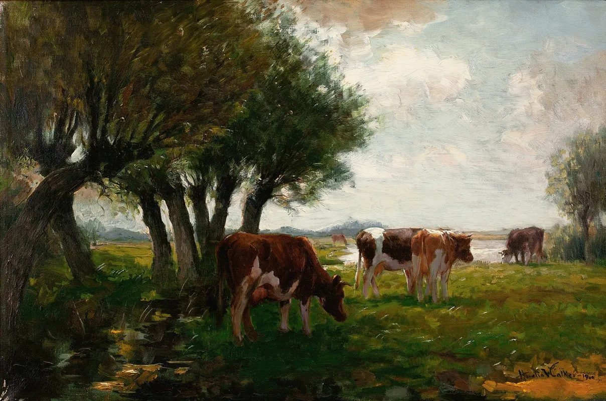 Cattle Grazing