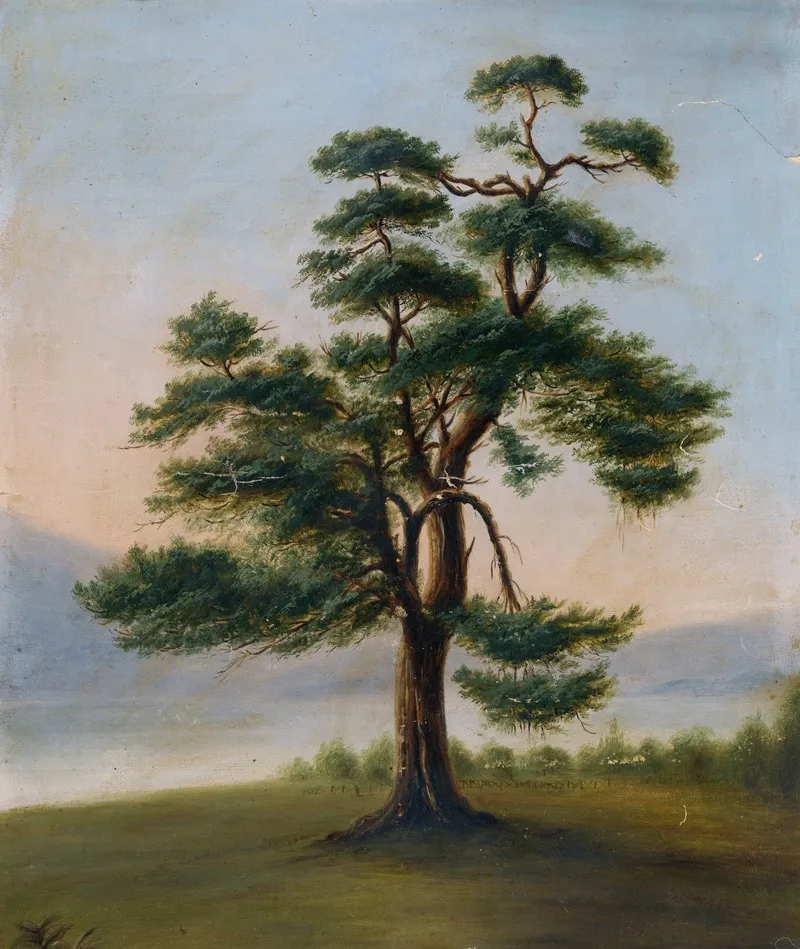 Cedar Tree Wall Art by F. Bindon Burton - High-Resolution Digital Print