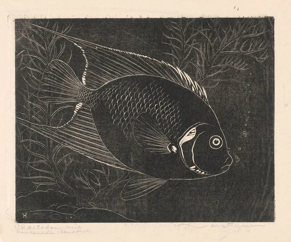 Chaetodon Visch
