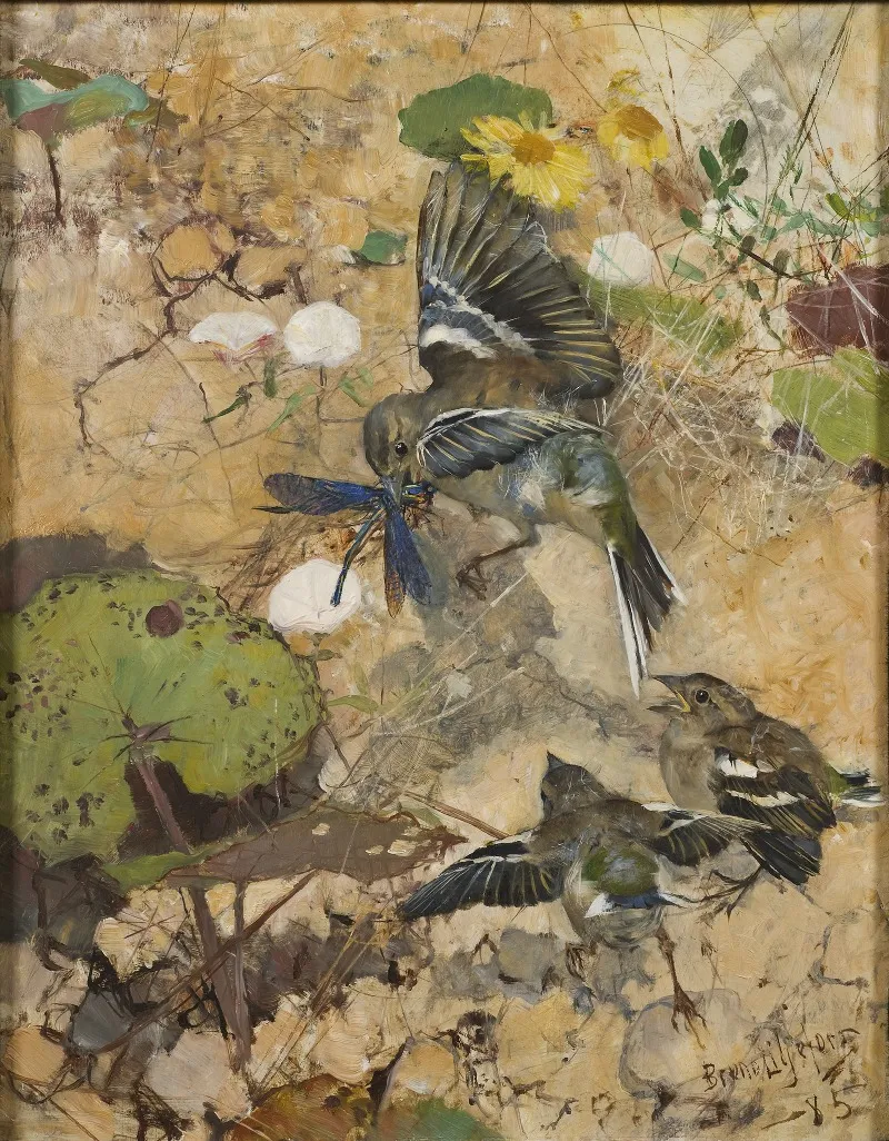 Chaffinches And Dragonflies