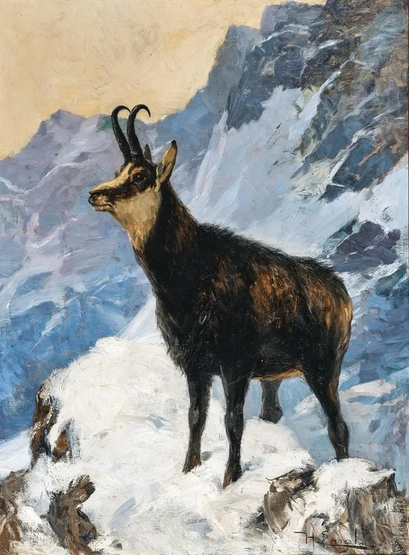 Chamois High In The Mountains 3
