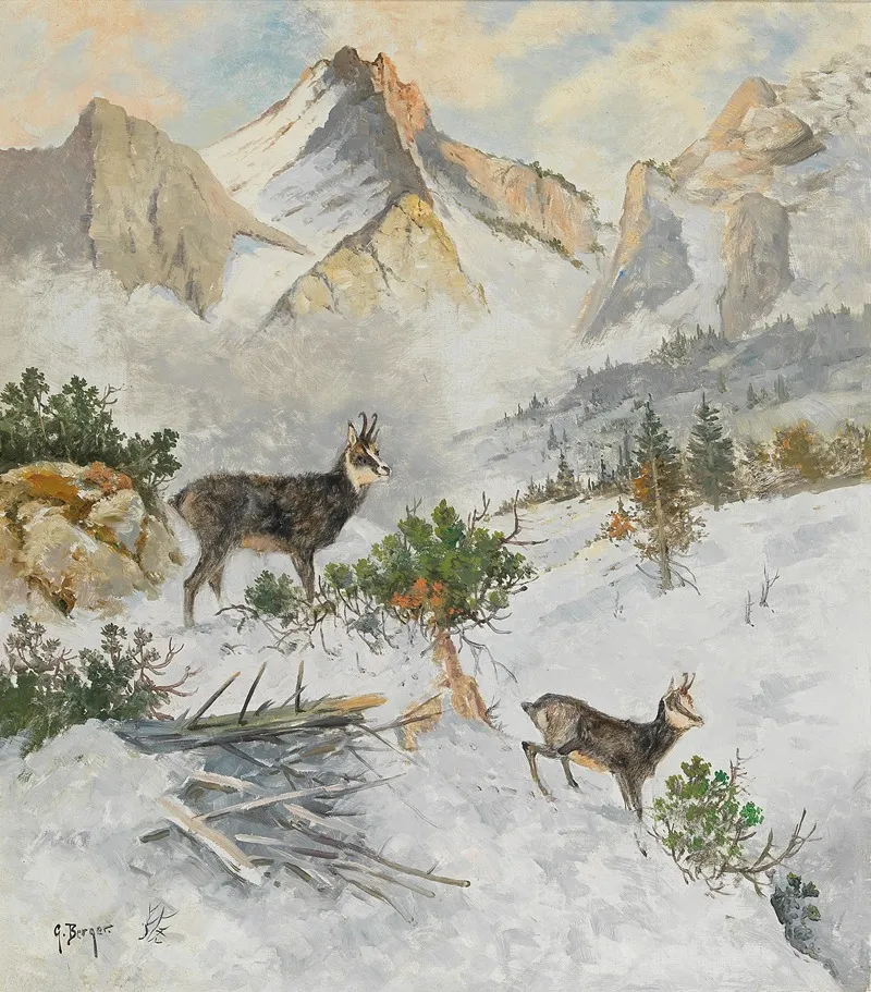 Chamois In A Winter Landscape