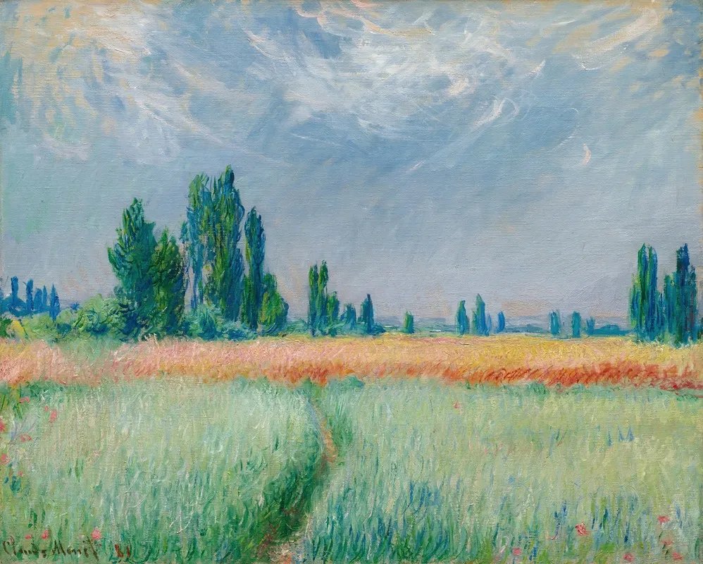 Champ De Ble