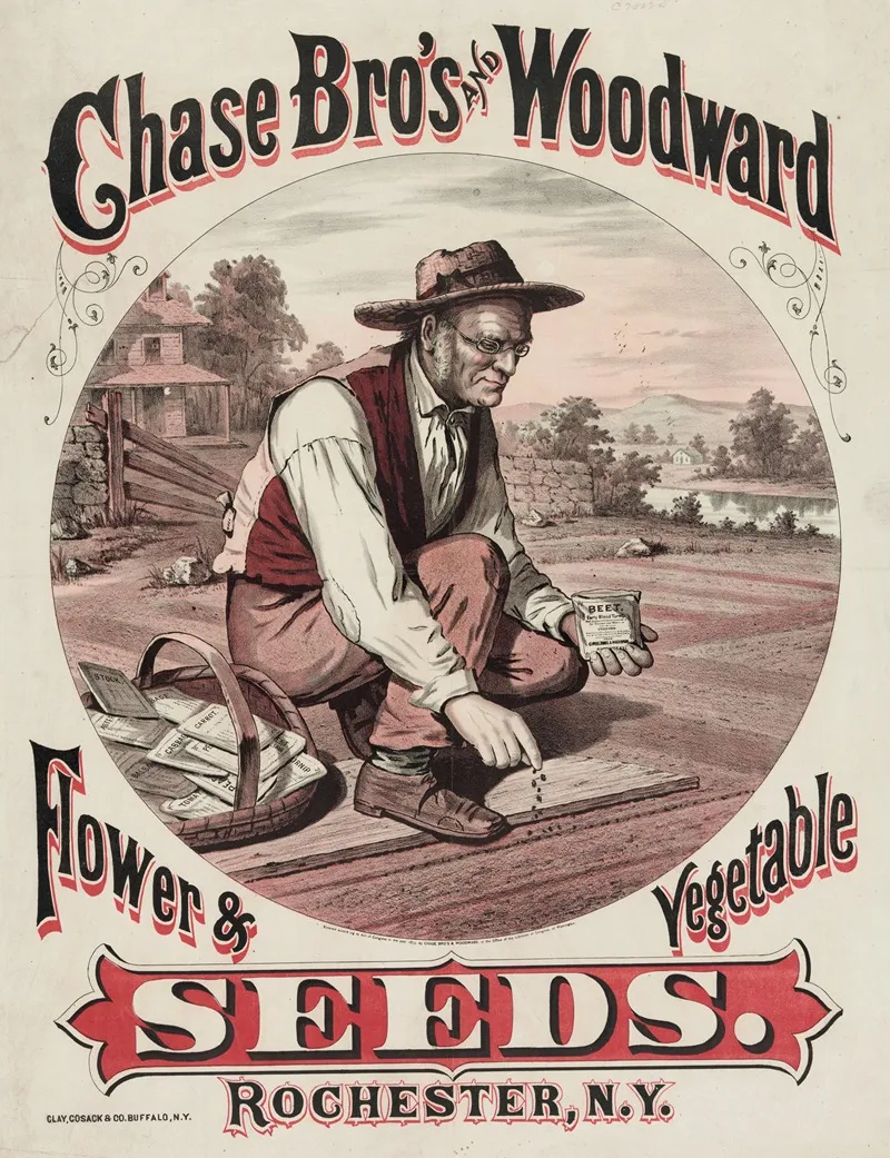 Chase Bros And Woodward Flower Vegetable Seeds