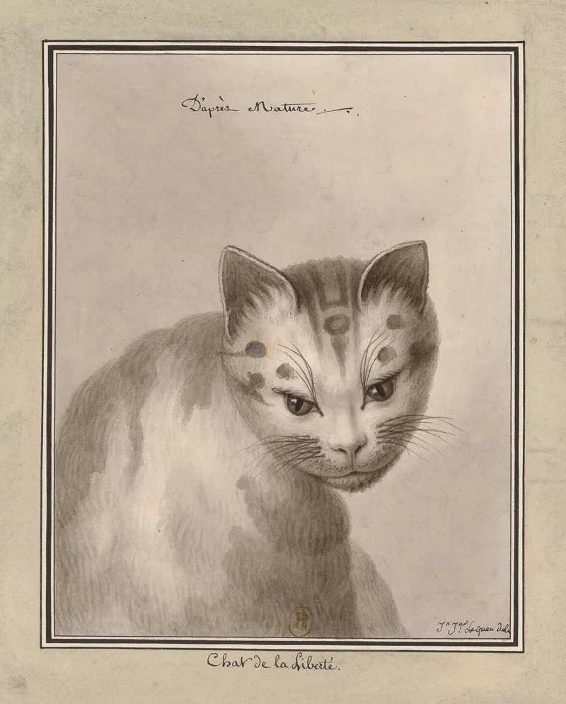 Chat De La Liberte Dapres Natur