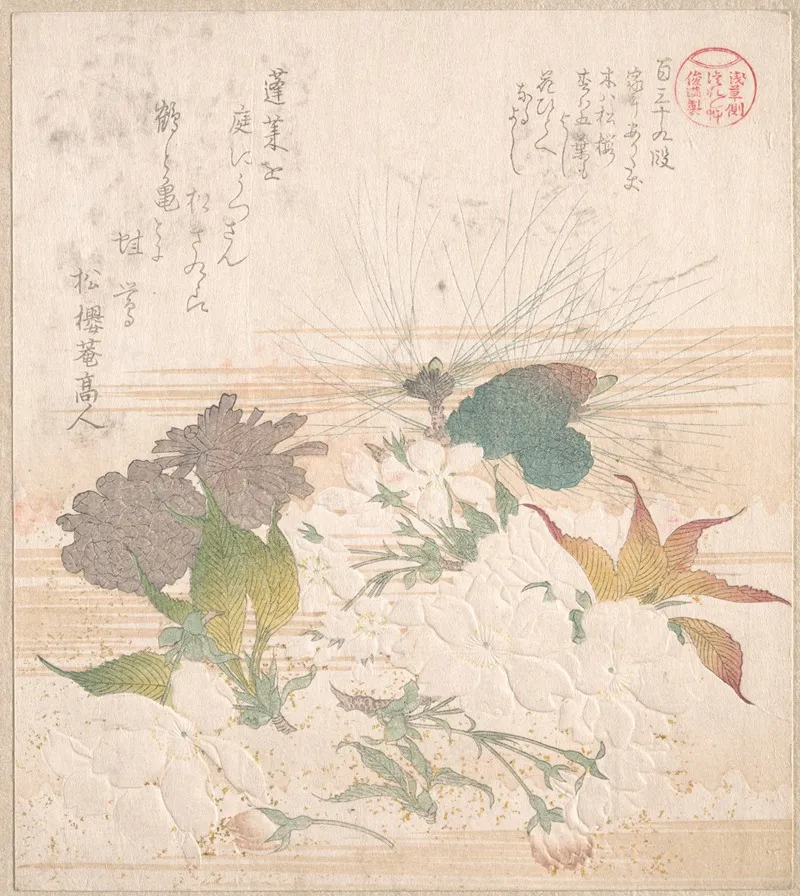 Cherry Blossoms And Pine Cones