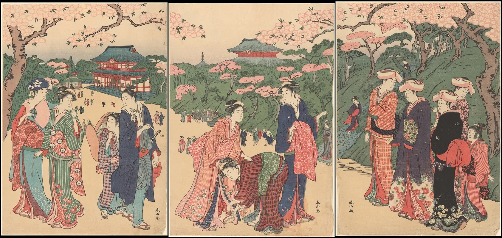 Cherry Time At Shiba Zojoji Temple Ground