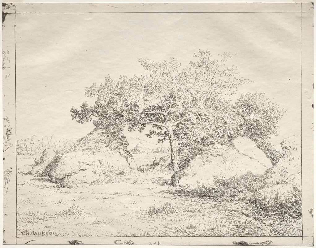 Cherry Tree At Blau