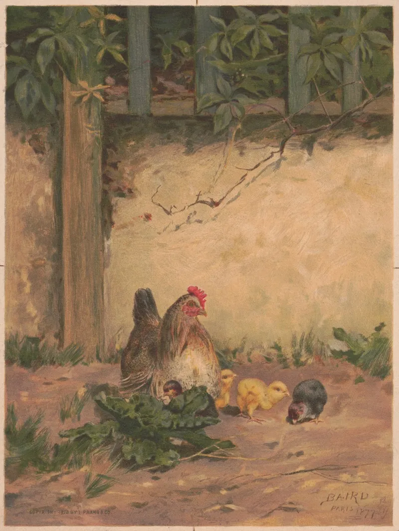 Chickens 6 Wall Art by William Baptiste Baird - High-Resolution Digital Print