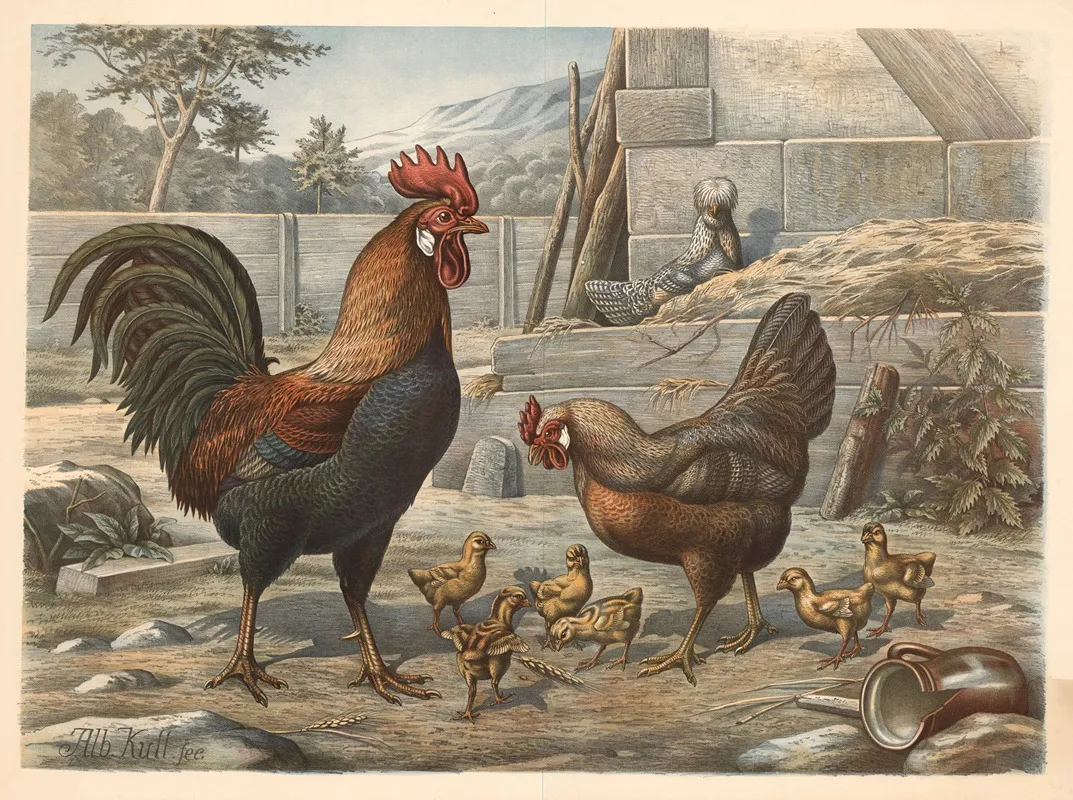 Chickens 9