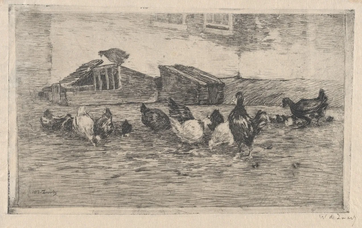 Chickens And Coops